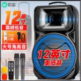 索爱（soaiy）12吋广场舞音响大功率便携式户外重低音蓝牙k歌专用大音量移动拉杆音箱室外演出设备双话筒A89WM  