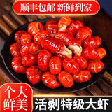 鲜拔头筹 麻辣小龙虾尾1000g特级大号龙虾尾冷冻小龙虾鲜活剥虾球 特级虾尾 2斤（净重）