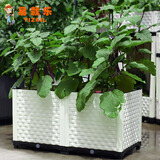易栽乐（Yizail） 2.5S种植箱阳台种菜种花花盆学校绿化园艺用品屋顶阳台菜园 2联加深种植箱80*40*43cm