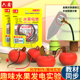 六鑫水果电池化学实验器材初中生礼物科学实验文具实验室男孩女孩开学季必备用品生日礼物文具