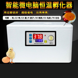 阔爱厨具孵化机孵化箱孵蛋器水床小鸡蛋芦丁孵化器小型机箱家用全自动 22枚单电+双屏+记录天数+照蛋款