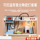 SMVP芦丁鸡保温灯自动控温保温箱保暖灯育雏鹦鹉小鸡取暖温控器太阳灯 单全陶灯座1个50W灯+九孔温控