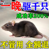 老鼠药三步到一闻死就耗子强药神效高老鼠一锅端室外死闻就死特药 50g