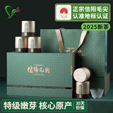 双碑绿茶信阳毛尖特级200g2025年明前新茶春茶高档茶叶礼盒装送礼送人