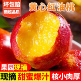 果憨湉【顺丰包邮-多地次日达】黄心油桃脆甜生鲜应季送礼桃子黄油桃 【精选现摘】1斤尝鲜装