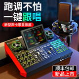 十盏灯旗舰款G9声卡手机专用直播带货设备电脑台式机通用套装录音棚调音台主播唱歌抖音快手喊麦全套 升级版声卡套装【PKPRO红色电容麦-G10】