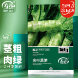 寿禾 莴笋种子种苗尖叶春季青笋蔬菜种籽 潍育尖叶莴笋种子10g