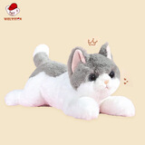 威尔通（WELTSTON）毛绒玩具玩偶猫咪公仔摆件抱枕生日礼物女生布娃娃 吉利猫灰50cm
