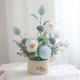 时鸟新款仿真轻奢假花客厅餐桌电视柜冰箱装饰插花花艺家居摆件花 纯洁白+life仿瓷PVC塑料盆 设计师设计新款仿真花