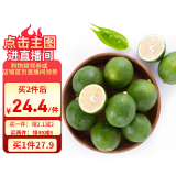 京鲜生 海南大青柠/青柠檬 8粒 单果约70-100g  生鲜水果