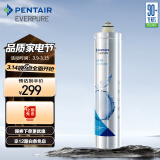 爱惠浦（Everpure） H-100C 净水器滤芯