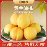 桃小蒙黄金油桃 蒙阴蜜桃 新鲜水果桃子精品装时令生鲜脆甜 4.5斤