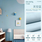 亦梦【婴儿房专用】墙纸自粘防水防潮水泥墙掉灰墙无甲醛高级感背景墙 进口升级天空蓝【0醛无异味】 小 60cm宽×5m长