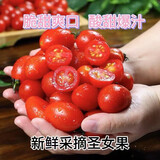 新鲜采摘圣女果樱桃小番茄蔬菜 带箱2斤精选果