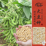寿禾 大豆种子苗黄豆种苗春夏自种蔬菜种籽 中黄13大豆种子3斤
