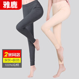 雅鹿女士秋裤女保暖裤纯棉毛裤衬裤打底全棉紧身大码单件薄款线裤 肤色+深灰【两条装】 2XL