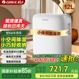 格力（GREE）除湿机/抽湿机家用【低噪小体积】母亲节礼物除湿量12升/天单间适用24平米24H定时除湿器DH12EN