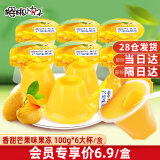 樱桃小丸子大杯果冻儿童零食休闲食品蒟蒻香甜芒果味生日礼物下午茶100g*6杯