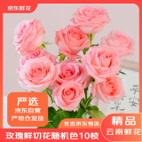 京东鲜花鲜花玫瑰颜色随机家庭插花云南基地随机玫瑰10枝源头直发