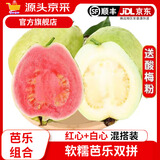 京源采红心软芭乐新鲜水果番石榴应季低糖孕妇生鲜礼品单果130g+ 【顺丰】红白心双拼软芭乐4.5斤