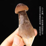 京鲜生云南新鲜黑皮鸡枞净重1斤鲜菌菇特产煲汤火锅食材源头直发