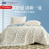 安睡宝（SOMERELLE） 被子被芯家纺 学生宿舍 可机洗水洗被子被褥 夏被-恋恋之夏 150*215cm