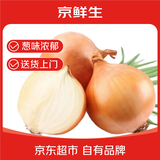 京鲜生山东黄洋葱带皮3斤装单果200g+新鲜蔬菜源头直发