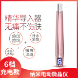 赫司（HESI） 纳米电动微针导入仪器微晶仪家用mts中胚水光针精华原液飞梭修复祛痘印痘坑导入滚轮笔 【经典款L2】魅力粉（屏显6档） 【配30个圆晶】