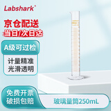 LABSHARK 玻璃量筒实验室高硼硅量杯加厚大容量带刻度直筒型 250mL2个/盒 A级可过检