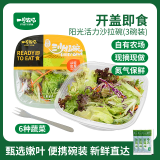 一号农场活力蔬菜沙拉碗6种蔬菜开盒即食轻食健身代餐160g*3碗源头直发