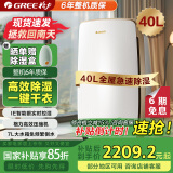 格力（GREE）除湿机家用抽湿机客厅地下室整屋除潮防霉除湿器40升/天单间72㎡ 智能控湿可干衣干燥器DH40EH