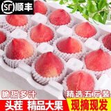 大口七八【发顺丰】水蜜桃新鲜水果5斤桃子春雪孕妇毛桃桃子当季2斤3斤 5斤 特大果200g+