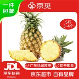 京觅徐闻香水菠萝 净重5斤3-4个 单果650g+ 热带新鲜水果凤梨