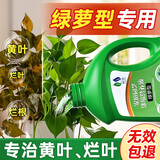 领沃植物通用营养液花肥料家用浓缩盆栽发财树富贵竹绿萝多肉水培花卉 【绿萝专用营养液】2500ml*1瓶