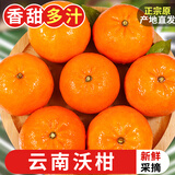 探味君 云南沃柑 桔柑橘子新鲜水果整箱 9斤净重8.5斤 【超值装】单果65-75mm