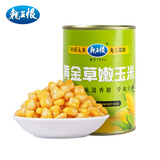 龙王恨鱼饵鲜甜嫩玉米窝料青草鳊鱼翘嘴钓饵大物专攻发酵老玉米打窝料 黄金草嫩玉米(400g)*1