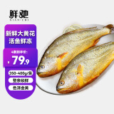 鲜驰新货大黄花鱼新鲜冷冻生鲜水产鲜活冰鲜海鱼宁德小黄鱼黄鱼鲞商用 【净重350-400g/条】4条装