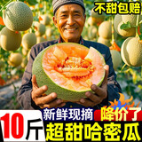黄六爷海南哈密瓜9斤新鲜水果网纹玲珑蜜静冈冰淇淋西州蜜甜瓜整箱包邮 8-10斤【3-5个果】坏果包赔