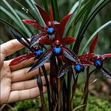 劉閣蘭花超香建兰四季兰当年开花壮苗满屋飘香室内四季常青花卉盆栽草 5苗连体【天穹蓝素】