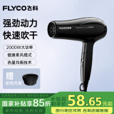 飞科（FLYCO）电吹风机家用便携冷热风护发速干吹风筒2000w大功率FH6231