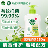 滴露健康抑菌洗手液滋润倍护 儿童成人通用家庭组合清洁套装洗手液 【体验装】茉莉绿茶250g