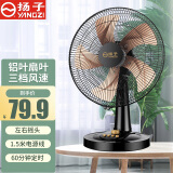 扬子电风扇小台扇 落地扇家用学生宿舍 轻音新款12英寸\16英寸 定时摇头小台扇 16英寸黑色圆底台扇铝叶（1.5电源线）