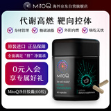Mitoq奶蓟草净肝胶囊60粒70倍奶蓟草水飞蓟宾护肝体重管理