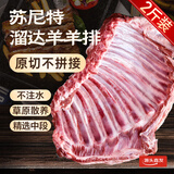 苏尼特 内蒙羔羊羊排2斤 散养原切溜达羊肉烧烤手把肉火锅源头直发