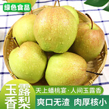 京地达梨山东玉露香梨净重5斤单果350g+新鲜梨子水果礼盒源头直发包邮
