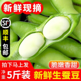 中鲜生江苏新鲜蚕豆 现摘生蚕豆 农家自种带壳蚕豆新鲜蔬菜胡豆罗汉豆 5斤装（净重）