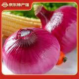 滇鲜生云南高原种植紫皮洋葱新鲜蔬菜生吃圆葱厨房调味新鲜食材蔬菜 滇鲜生洋葱2斤【带箱】