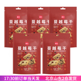 展艺 蔓越莓干 小红莓果干牛轧糖雪花酥专用食曲奇饼干原装烘焙原料 100g*5袋