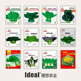 ldeal理想农业 12种叶菜类种子套餐小青菜鸡毛菜上海青苏州青蔬菜种子