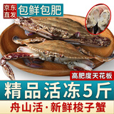 梭子蟹鲜活大野生螃蟹舟山大螃蟹海鲜新鲜冷冻海蟹水产飞蟹白蟹藓 7-9两/只 【净重5斤特大梭子蟹】